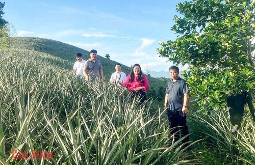 Xã Bạch Đằng phát huy hiệu quả phong trào thi đua “Dân vận khéo” trong phát triển kinh tế và giảm nghèo bền vững.