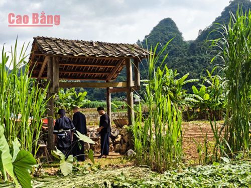 Năm 2019, nghề rèn của người Nùng An ở Phúc Sen được đưa vào Danh mục Di sản văn hóa phi vật thể quốc gia, khẳng định cho một di sản sống vẫn đang tiếp tục được gìn giữ và phát triển.