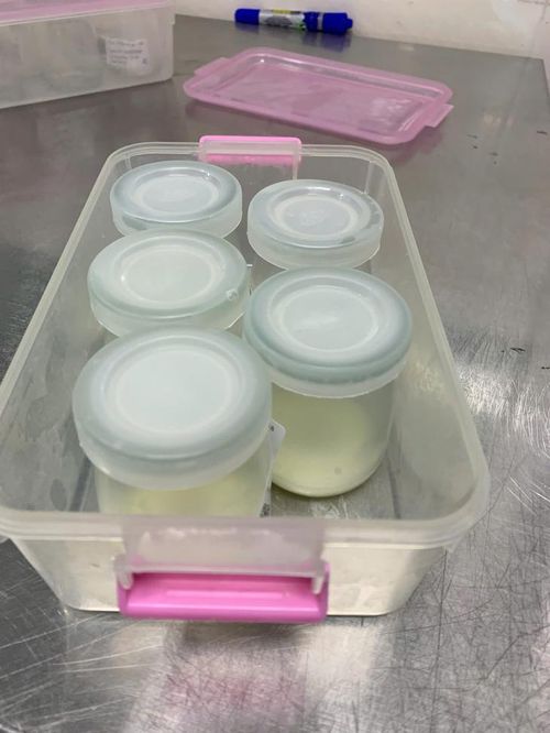 Sữa mẹ được thanh trùng tại Bệnh viện Hùng Vương - Ảnh: BVCC