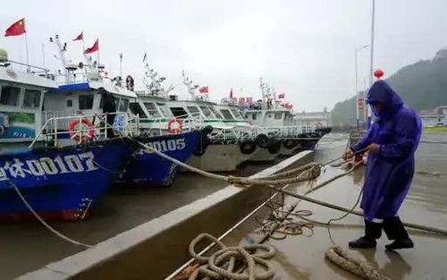  Một công nhân gia cố tàu thuyền tại bến Nanyue, tỉnh Chiết Giang, Trung Quốc, trước khi bão đổ bộ. Ảnh: Bhaskar. 