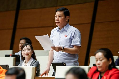 Đại biểu Phạm Hùng Hưng phát biểu