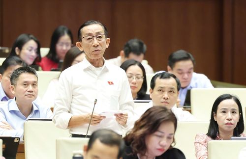 ĐB Trần Hoàng Ngân (TPHCM). Ảnh: QUANG PHÚC 