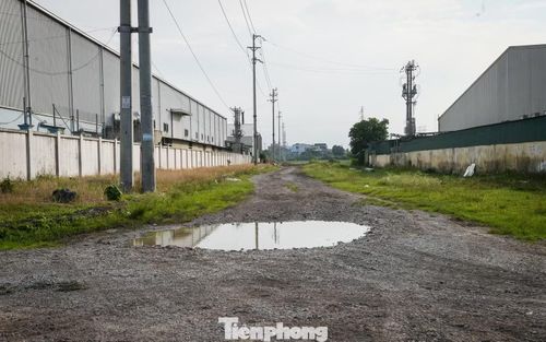 KCN Mỹ Trung (thuộc phường Thiên Trường, tỉnh Ninh Bình) được phê duyệt triển khai với quy mô 150 ha, tổng mức đầu tư 358 tỷ đồng. Dự án do Công ty Cổ phần Công nghiệp Tàu thủy Hoàng Anh (Công ty Hoàng Anh), đơn vị thành viên thuộc Tập đoàn Công nghiệp Tàu thủy Việt Nam (Vinashin, nay là SBIC), làm chủ đầu tư.