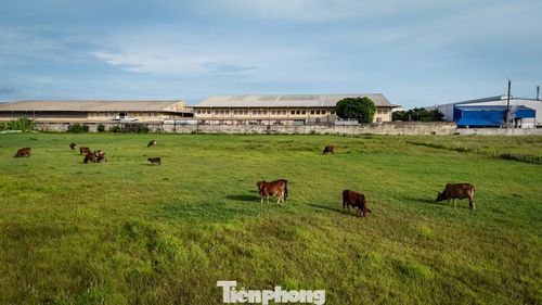  Dự án từng lấp đầy được khoảng 20-27% diện tích, thu hút một số nhà đầu tư thứ cấp vào xây dựng nhà xưởng và hoạt động. Tuy nhiên năm 2011-2012, Dự án KCN Mỹ Trung rơi vào trạng thái "đóng băng". 