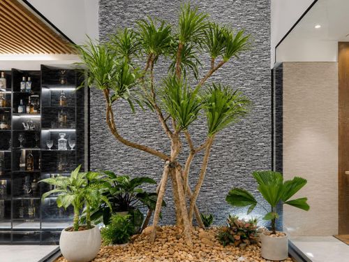 Phát tài núi tượng trưng cho sự phát đạt.