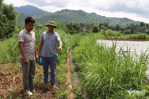 Hệ thống thủy lợi phai Khẻ, xã Yên Châu được đầu tư từ nguồn vốn Chương trình MTQG 1719 giúp người có nguồn nước tưới tiêu phục vụ sản xuất