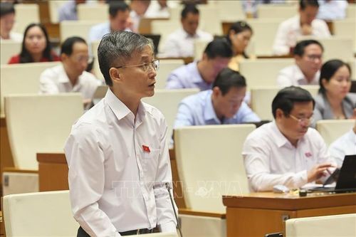 Đại biểu Quốc hội Đà Nẵng Nguyễn Khánh Ngọc phát biểu. Ảnh: Doãn Tấn/TTXVN