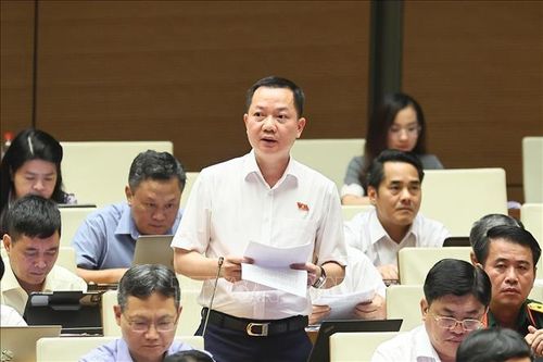 Đại biểu Quốc hội TP Đồng Nai Trịnh Xuân An phát biểu. Ảnh: Doãn Tấn/TTXVN