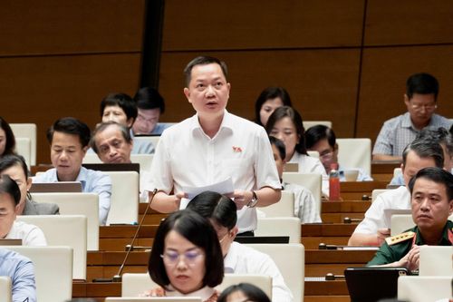 Đại biểu Trịnh Xuân An (Đoàn ĐBQH Thành phố Đồng Nai) phát biểu.