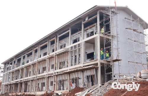 Tăng tốc thi công trường Phổ thông nội trú liên cấp Tiểu học và THCS Quảng Trực.