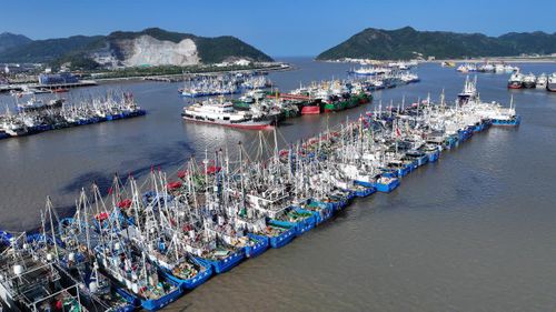 Các tàu cá trở về một cảng địa phương tại thành phố Thái Châu, tỉnh Chiết Giang, miền Đông Trung Quốc để tránh bão, ngày 6/8/2026. Ảnh: VCG.