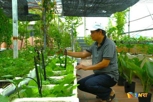 Sân thượng của ông Mai Thành Vinh (phường Hòa Khánh) trồng nhiều loại rau, cây ăn quả. Ảnh: PHƯỚC AN