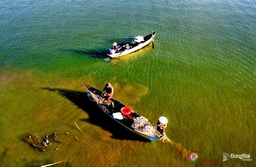 Cuộc sống của người làm nghề cá ở Bến Nôm từ lâu đã gắn với sự lên xuống của mực nước hồ Trị An. Ảnh: Cao Tuấn