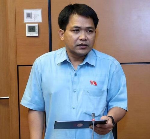  ĐB Trường Trung Tuyến bày tỏ sự quan tâm đối với Điều 3 - Sửa đổi Luật Chăn nuôi. Ảnh: Đoàn ĐBQH tỉnh Gia Lai 