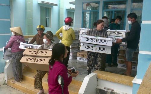 Người dân phấn khởi sau khi được hỗ trợ giống gà con
