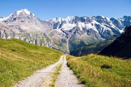 Con đường nhỏ phía trên thị trấn Gimmelwald, Thụy Sĩ. (Ảnh: Richard Cassan / Creative Commons).