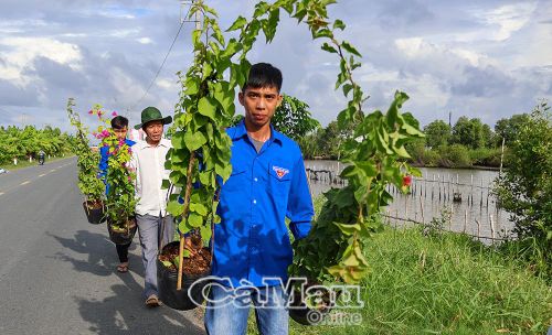 Đoàn viên, thanh niên xã Phú Mỹ hưởng ứng trồng cây xanh, góp phần xây dựng cảnh quan nông thôn.