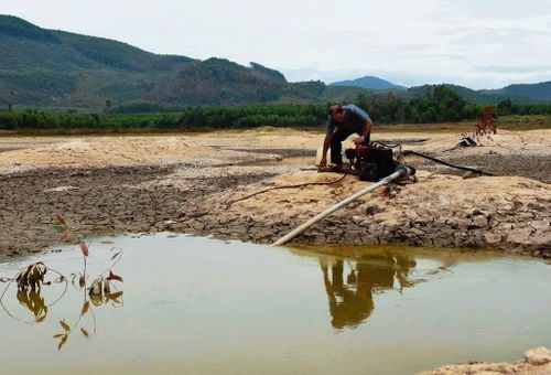 Máy bơm được đặt giữa lòng hồ để tận dụng lượng nước ít ỏi còn sót lại phục vụ tưới cho lúa vụ Hè Thu. (Ảnh: Trần Mai)
