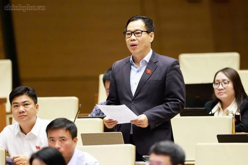 Đại biểu Đỗ Đức Hồng Hà (TP. Hà Nội) phát biểu tại Hội trường - Ảnh: chinhphu.vn/Nhật Bắc