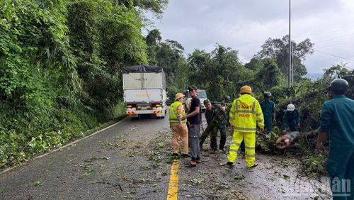 Sau nhiều giờ khắc phục sự cố cây ngã đổ, một phần đường giao thông qua đèo Bảo Lộc đã được giải phóng, giải quyết tình trạng ùn tắc các phương tiện giao thông trên đèo.