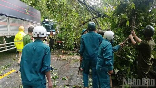 Do cây ngã đổ chắn ngang đường nên toàn bộ các loại phương tiện giao thông khi qua đèo đều bị ùn tắc trong nhiều giờ.