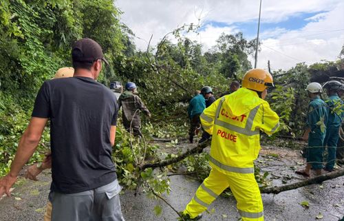 Do cây lớn bị ngã đổ chắn ngang, giao thông qua đèo Bảo Lộc bị gián đoạn hơn 1 giờ