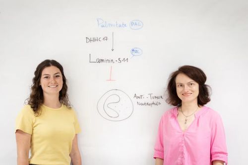 TS Anke Vandekeere và GS Sarah-Maria Fendt (Trung tâm Sinh học Ung thư VIB-KU Leuven)