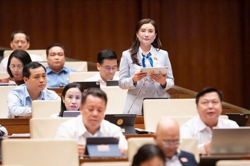 ĐBQH Nguyễn Phạm Duy Trang. (Ảnh: Như Ý)