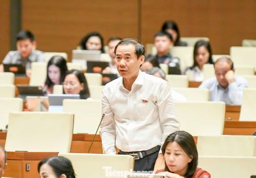  ĐBQH Nguyễn Thái Học. (Ảnh: Như Ý) 