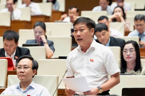 Đại biểu Nguyễn Khánh Vũ. Ảnh: QH