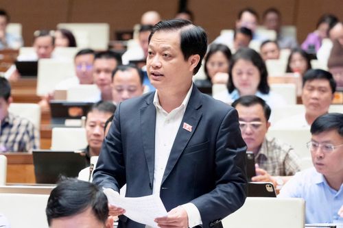Đại biểu Nguyễn Hải Nam. Ảnh: QH