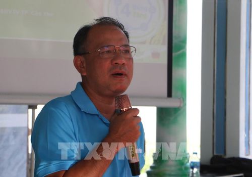 Phó Giáo sư, Tiến sĩ Nguyễn Văn Hùng, chuyên gia khoa học cao cấp của Viện Nghiên cứu Lúa gạo Quốc tế. Ảnh: Duy Khương – TTXVN 