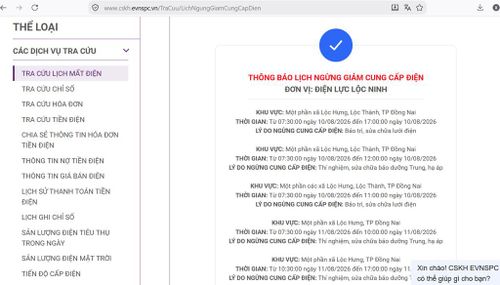 Tổng công ty Điện lực miền Nam (EVNSPC) thông báo có lịch cắt điện ở Đồng Nai trong ngày 10/8 cập nhật lúc 11h25 ngày 9/8. Ảnh: BNEWS/TTXVN phát