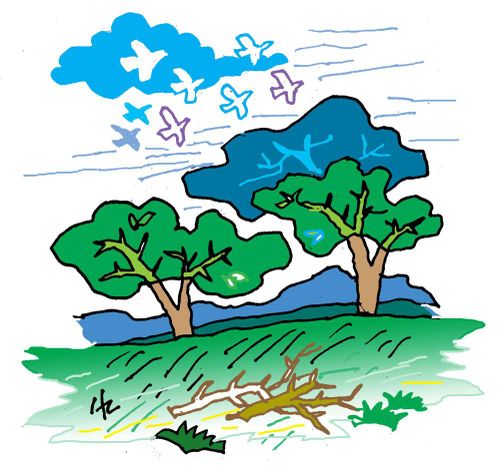 Minh họa: Hà Huy Chương.