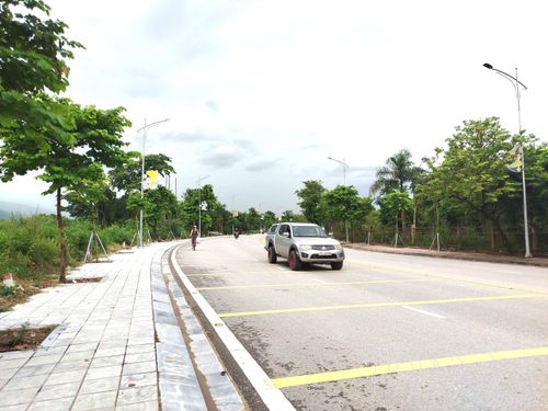Hàng cây hoa Ban trên tuyến đường Phạm Văn Đồng.