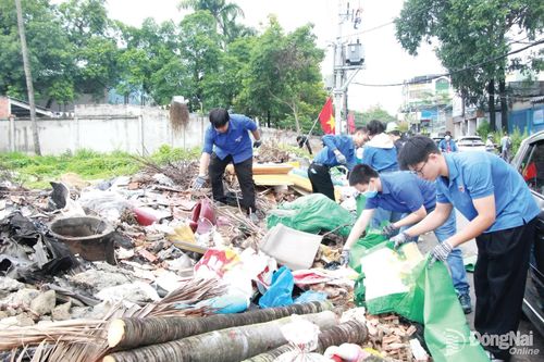 Đoàn viên thanh niên tham gia xử lý “điểm đen” rác thải tại khu vực đất trống đối diện Trường TH-THCS-THPT Đinh Tiên Hoàng (phường Tam Hiệp).
