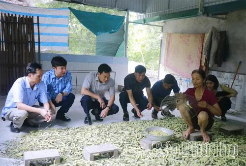 Cán bộ nông nghiệp xã Đào Xá trao đổi với người nuôi tằm về kỹ thuật chăm sóc tằm lá sắn.