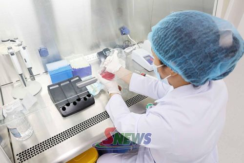 Xét nghiệm nuôi cấy định danh vi khuẩn tại Khoa Huyết học - Truyền máu vi sinh, Bệnh viện Đa khoa tỉnh.