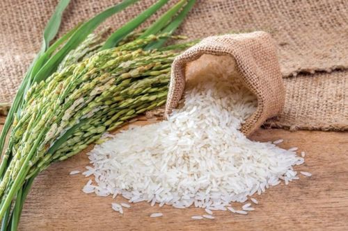 Giá lúa gạo hôm nay ít biến động. Ảnh minh họa