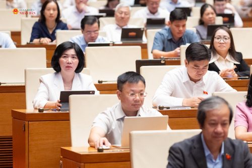 Các đại biểu tham dự phiên họp. Ảnh: Phạm Thắng