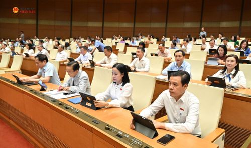Các đại biểu tham dự phiên họp. Ảnh: Quang Khánh