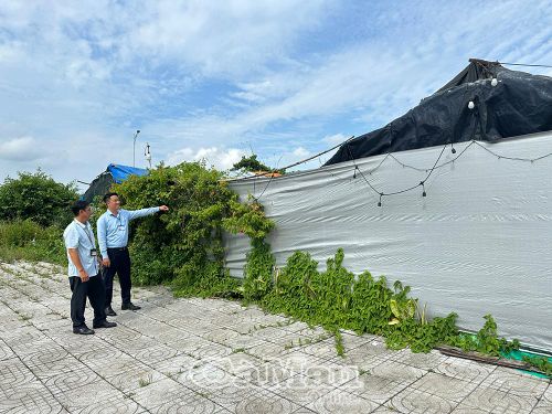  Hộ kinh doanh cây kiểng trên đường Ngô Quyền, Khóm 5, phường An Xuyên, không còn hoạt động tại địa chỉ đăng ký kinh doanh và hiện vẫn còn nợ thuế.