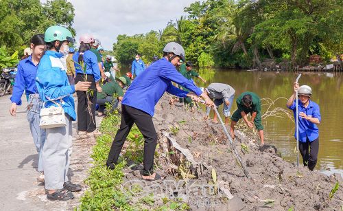 Các lực lượng phối hợp trồng cây.