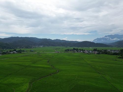 Mùa xanh ấy không chỉ là vẻ đẹp của cỏ cây hoa lá, mà còn là lời hứa hẹn về sự sinh sôi bền bỉ của vùng đất Lai Châu hùng vĩ. Khi hoàng hôn buông xuống, buông nhẹ vệt nắng cuối ngày lên rặng núi xa, dải lúa Mường Than sẫm lại dưới vòm trời ngát xanh, để lại trong lòng người ra đi niềm luyến lưu khôn nguôi về một mùa xanh thơ mộng trên mảnh đất Tây Bắc./.