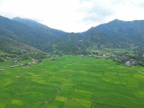 Lấp ló giữa đại dương xanh ấy là những mái nhà sàn rêu phong của đồng bào dân tộc Thái. Các bản làng yên bình nằm tựa lưng vào chân núi, tỏa vệt khói chiều vương vương trên mái lá, tạo nên vẻ đẹp hòa hợp tuyệt đối giữa con người và thiên nhiên.