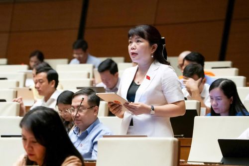 Đại biểu Nguyễn Thị Thu Hà (Đoàn Quảng Ninh) thảo luận tại phiên họp. Ảnh: media.quochoi.vn