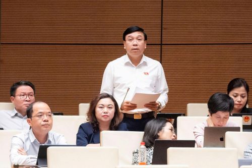 Đại biểu Nguyễn Văn Mạnh (Đoàn Phú Thọ) thảo luận. Ảnh: media.quochoi.vn
