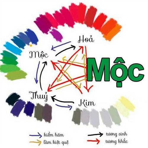 Đối với người mệnh Mộc, tháng 7 âm lịch là thời điểm nên tìm về sự cân bằng. Màu đen, màu xanh dương sẫm (màu hành Thủy, Thủy sinh Mộc) sẽ giúp người mệnh Mộc tăng cường trí tuệ,..