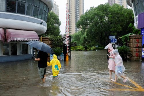 Bão Dolphin được dự báo di chuyển về phía tây, sau đó chậm lại khi đi qua miền Trung và Tây Nam Trung Quốc trước khi suy yếu dần. Bão di chuyển chậm có thể khiến mưa lớn kéo dài hơn, làm tăng nguy cơ lũ lụt và sạt lở.