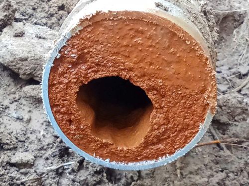 Đường ống cũ, bám nhiều cặn phèn khiến nước dễ bị đục sau mỗi lần sửa chữa hoặc súc rửa hệ thống